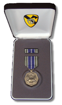 File:MedalBox AAM.png