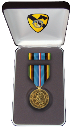 MedalBox AFEM.png