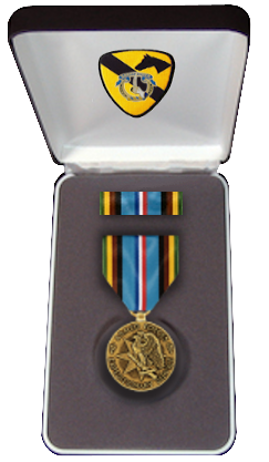 File:MedalBox AFEM.png