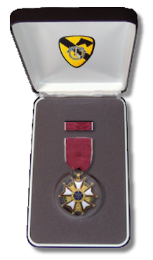 File:MedalBox LOM.png