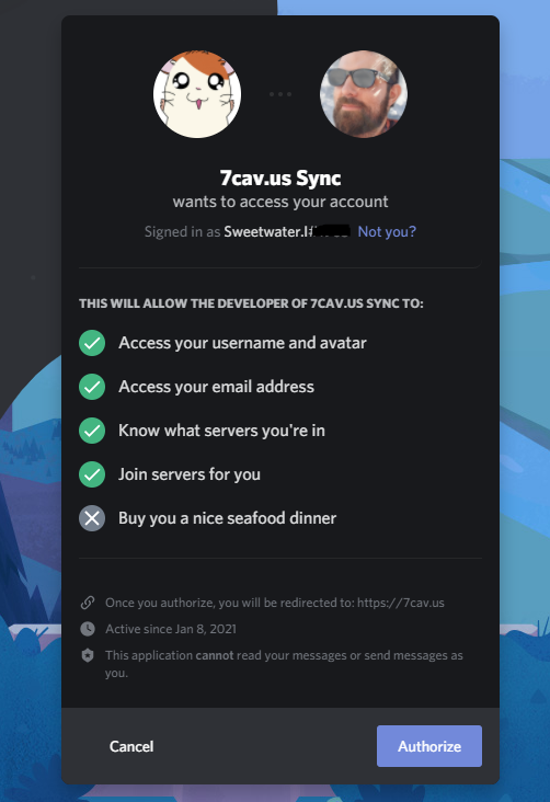Discord Authorization.PNG