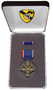 File:MedalBox ADSC.png