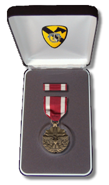 File:MedalBox MSM.png